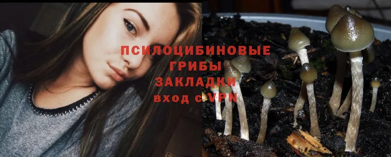 Где можно купить наркотики Коломна A-PVP  Cocaine  Гашиш  МЕФ  Каннабис 